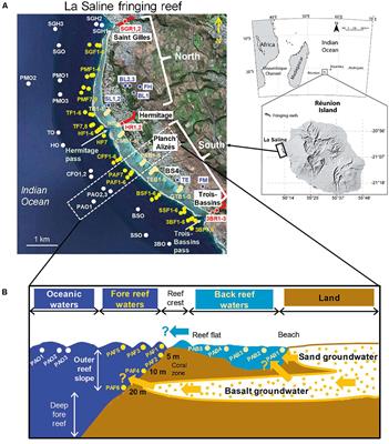 Influence of Freshwater Discharges on Biogeochemistry and Benthic Communities of a Coral Reef Ecosystem (La Réunion Island, Indian Ocean)